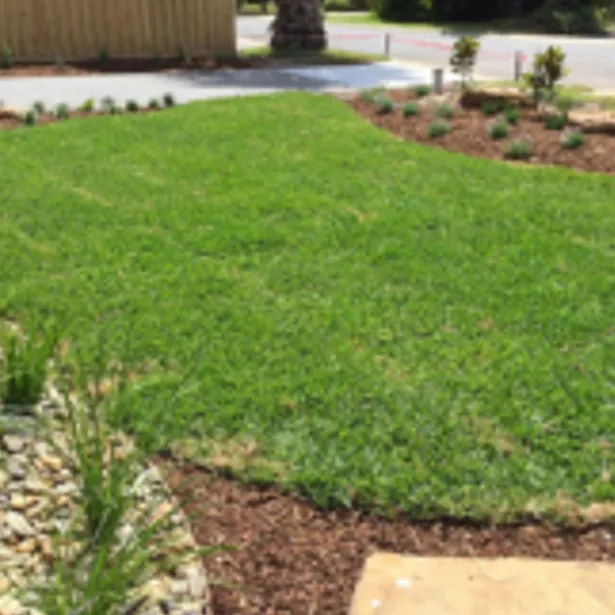 Lawns, Instant & Artificial project images